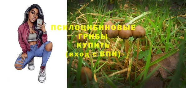 дурь Аркадак