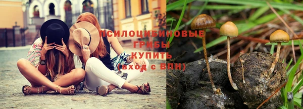 мдпв Саяногорск