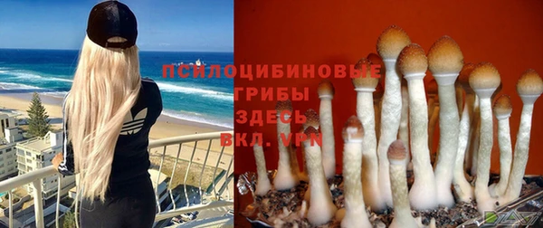 дурь Аркадак